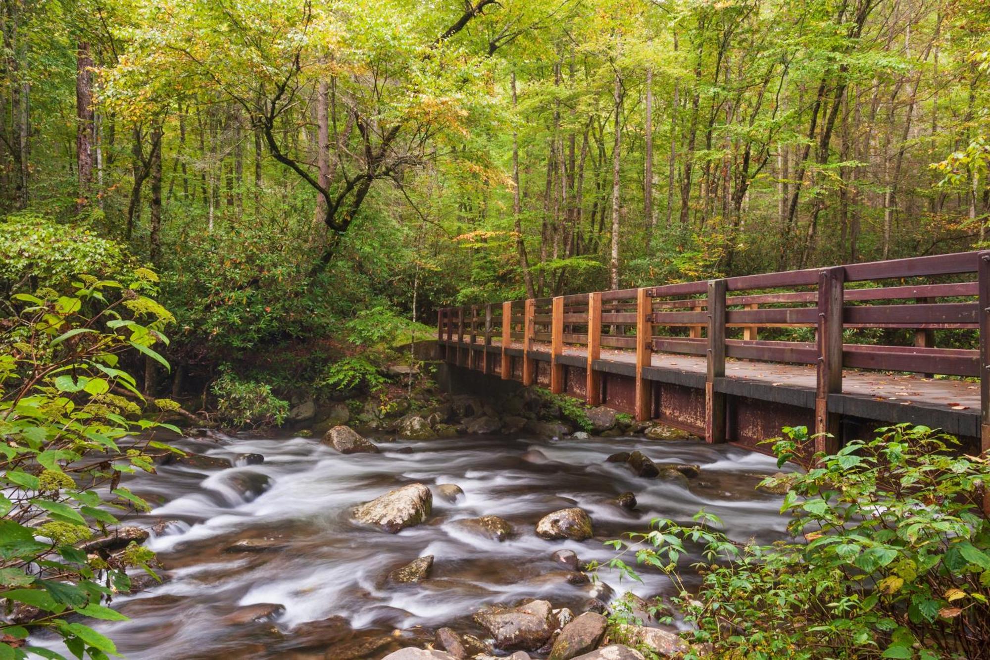 Suite Sensations, Hot Tub, Pool Table, 1089 Free Tickets Each Paid Day, Dollywood And More Pigeon Forge Zewnętrze zdjęcie